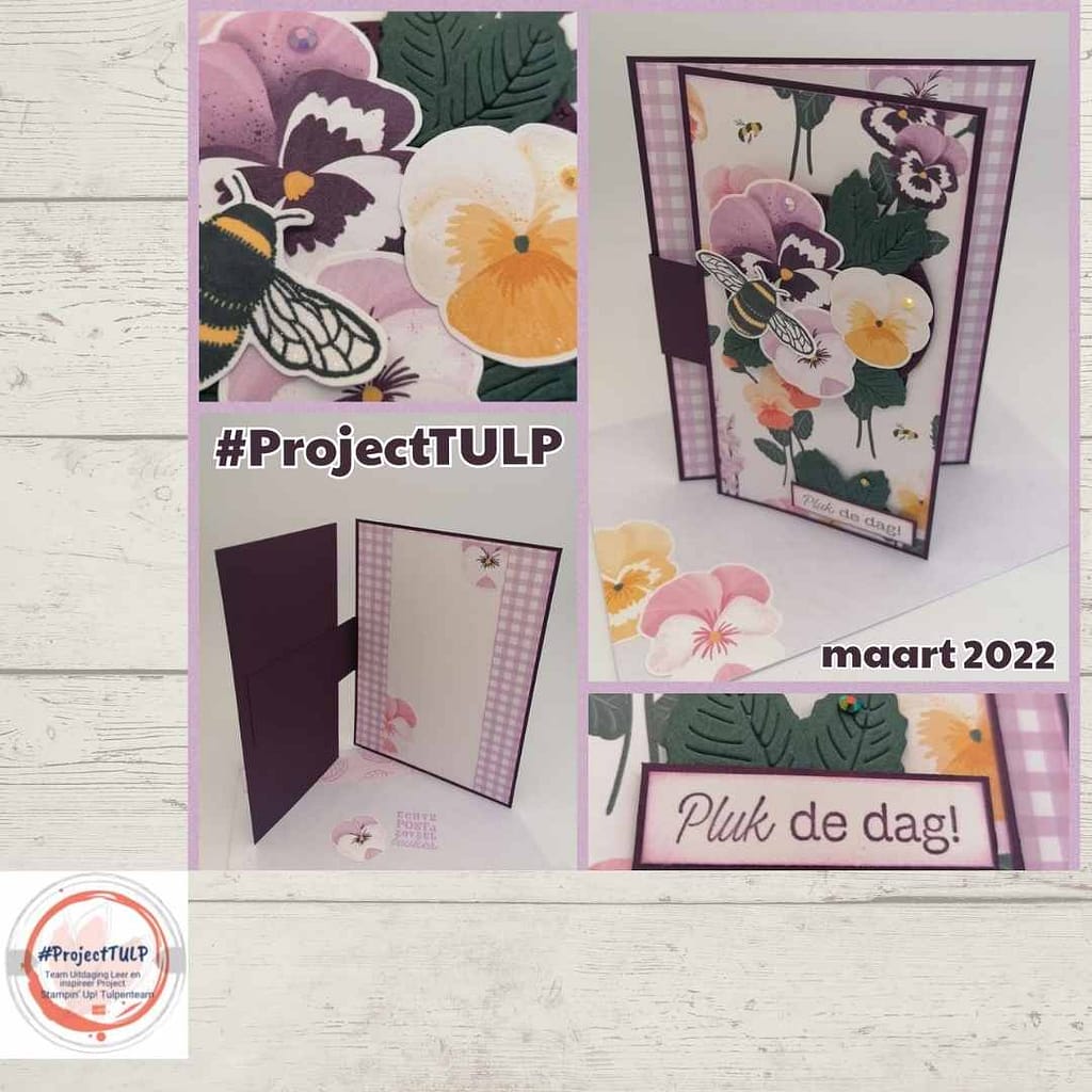 #projectTULP voorjaar 2022( Team Uitdaging Leer en inspireer Project) 39 ProjectTulp Inge