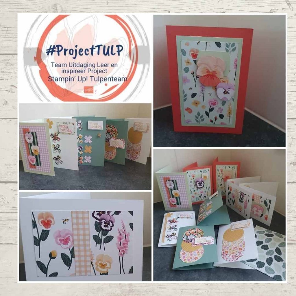 #projectTULP voorjaar 2022( Team Uitdaging Leer en inspireer Project) 36 project Tulp Nienke 3