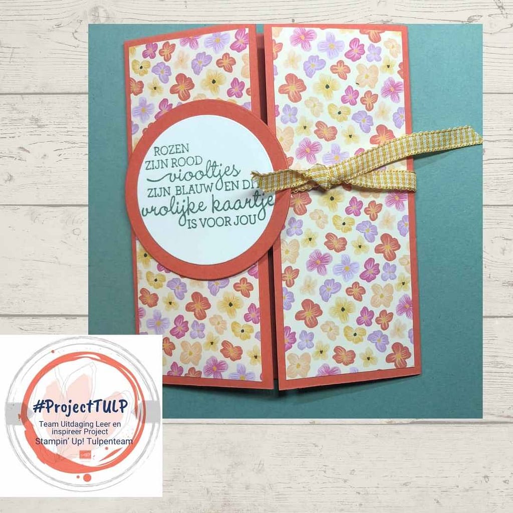 #projectTULP voorjaar 2022( Team Uitdaging Leer en inspireer Project) 28 projectTulp Hanna 4