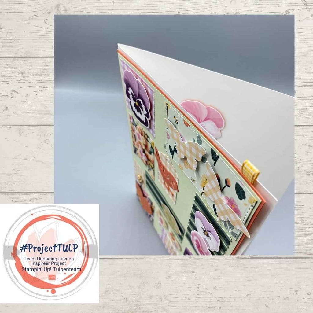 #projectTULP voorjaar 2022( Team Uitdaging Leer en inspireer Project) 22 projectTulp Hester 1a