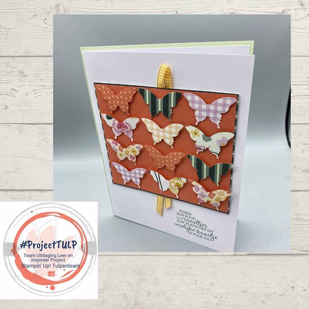 #projectTULP voorjaar 2022( Team Uitdaging Leer en inspireer Project) 23 projectTulp Hester 2