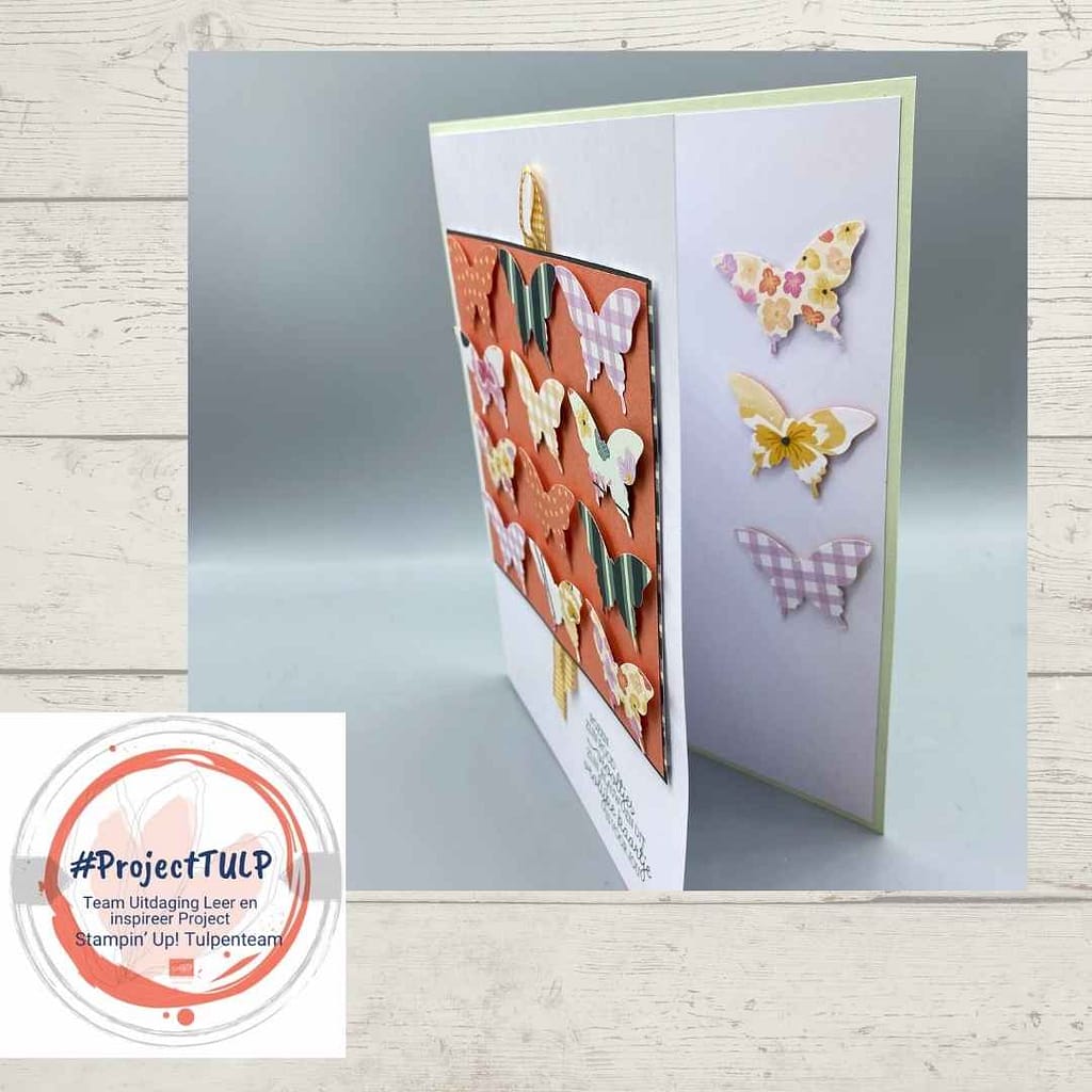 #projectTULP voorjaar 2022( Team Uitdaging Leer en inspireer Project) 24 projectTulp Hester 2a