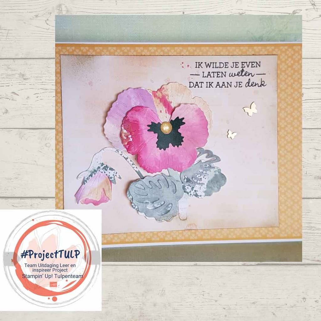 #projectTULP voorjaar 2022( Team Uitdaging Leer en inspireer Project) 31 projectTulp Ineke