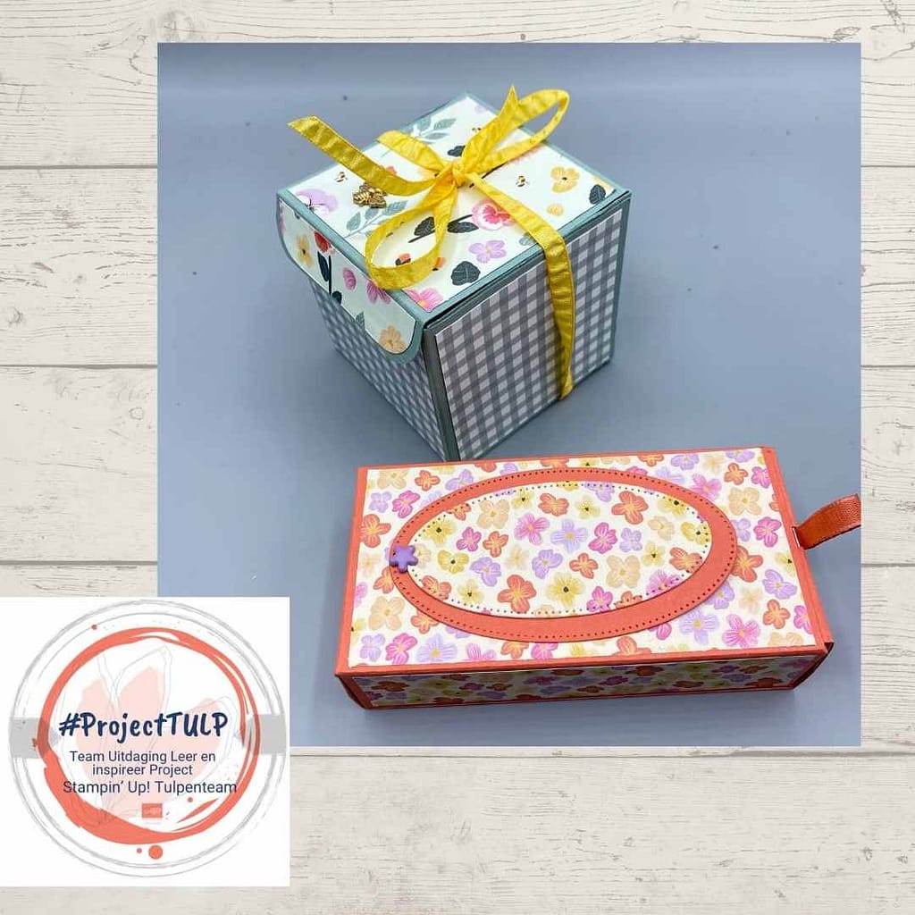 #projectTULP voorjaar 2022( Team Uitdaging Leer en inspireer Project) 35 projectTulp Marjolein2