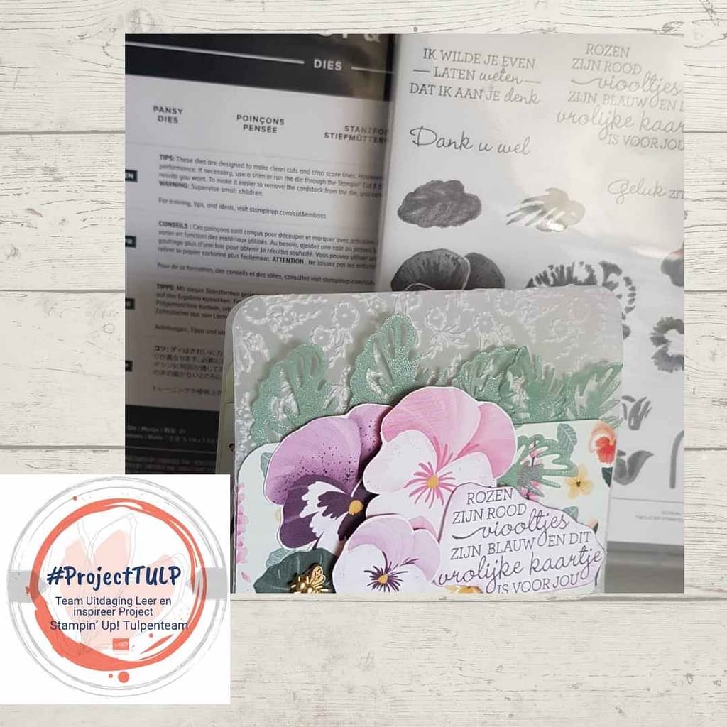 #projectTULP voorjaar 2022( Team Uitdaging Leer en inspireer Project) 30 projectTulp ineke 2