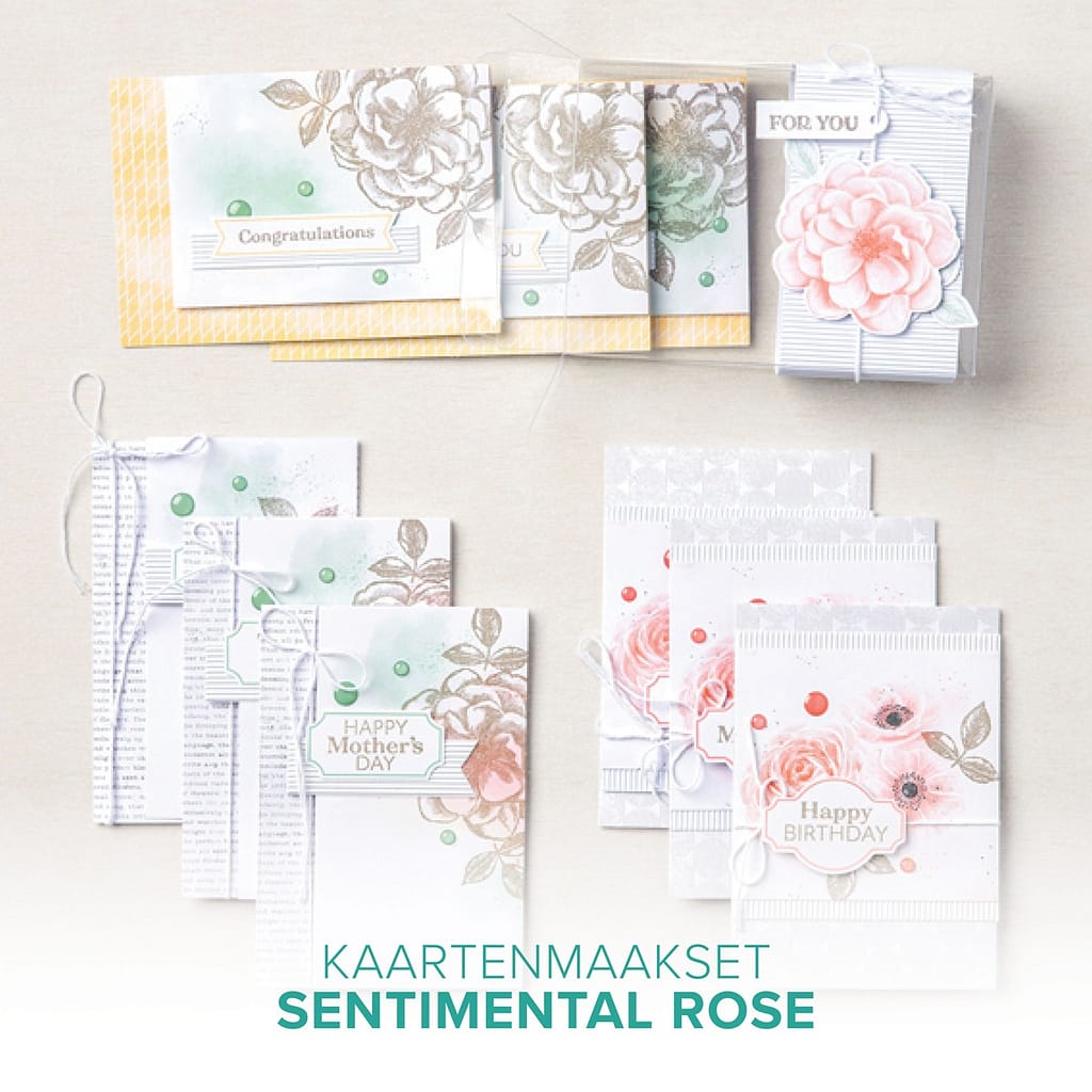 Hoe je door iets te maken weer tijd krijgt... 3 Kaartenmaak kit van Stampinup met bloemen via ellen liefting