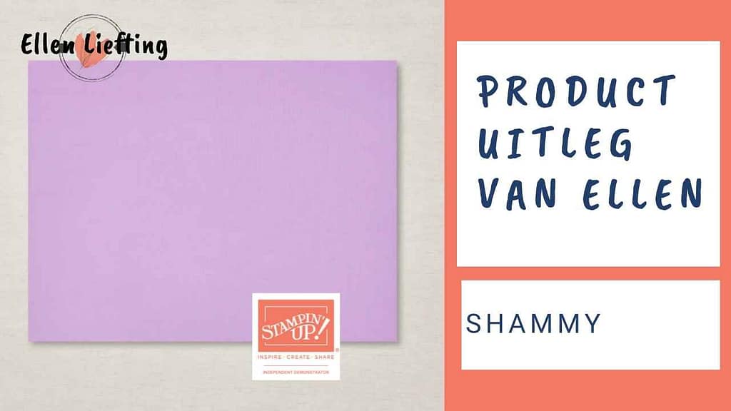 Basis gereedschappen voor papier, stempels en inkt bewerken, tips en trucs. 4 shammy tips van Ellen Liefting