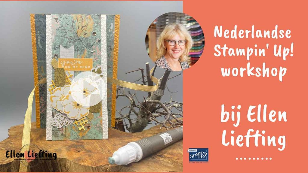 Funfold deel 2 bloemen of bloemen? 2 funfold fb live door ellen liefting met season of chic stampinup