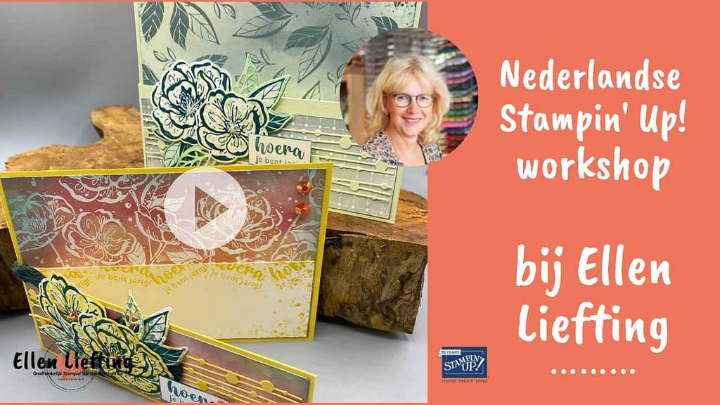 Funfold, deel 1 in de maand van de funfold 2 funfold met blij en bloemrijk stampinup door ellen liefting