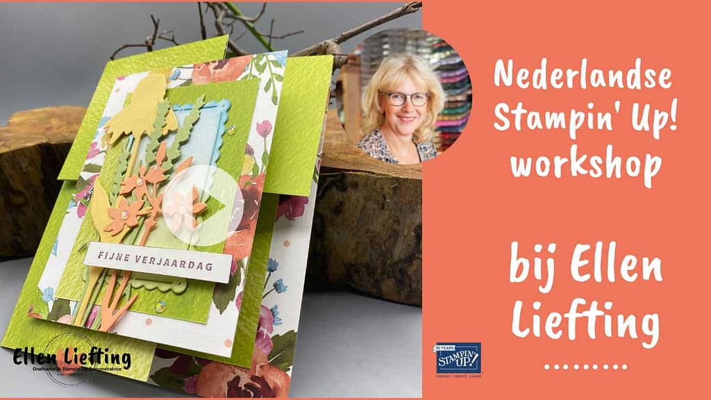 Hoekvouw funfold, kleurrijke 4e in de serie funfold kaarten 4 hoekfunfold door ellen liefting stampinup nederland