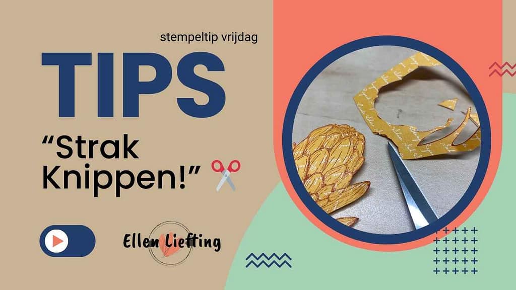 Creatief aan de slag met de nieuwe embossingmal – Traditional Wreath 15 stempeltips thumbnail
