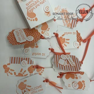 Kylie's Demonstrator training blog hop januari 2019, First Steps uitwerking door Ellen Liefting. 4 2019 01 072B16.46.07 2