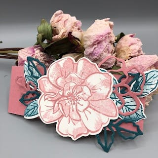 Stampin' Up! To a wild rose, kaart met "belly-band" voor Kylie's International Blog Highlight July 2019 4 2019 06 272B15.45.16