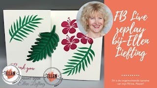 Tropical Chic in de hoofdrol bij Kylie's Demonstrator Training Blog Hop July 2019 2 FB2BLive2Breplay2Bbij Ellen2BLiefting2B252852529