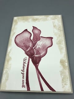 Blog 20 2018 12 102B15.56.31