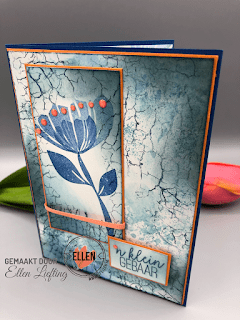Blog 30 2019 05 062B13.46.36