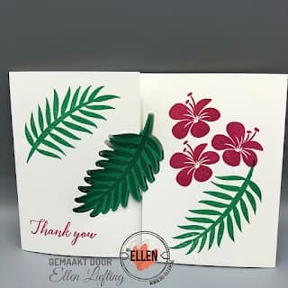 Blog 55 2019 07 082B19.14.57