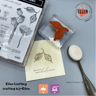 Herfst kleuren in de stempelschatten bloghop met Stampin' Up! collega's 8 95D5131E 4679 4849 B3AD A80F935D0788