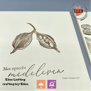 Herfst kleuren in de stempelschatten bloghop met Stampin' Up! collega's 9 DA9654A9 F84B 4C9F ADF3 EFC3D0589067