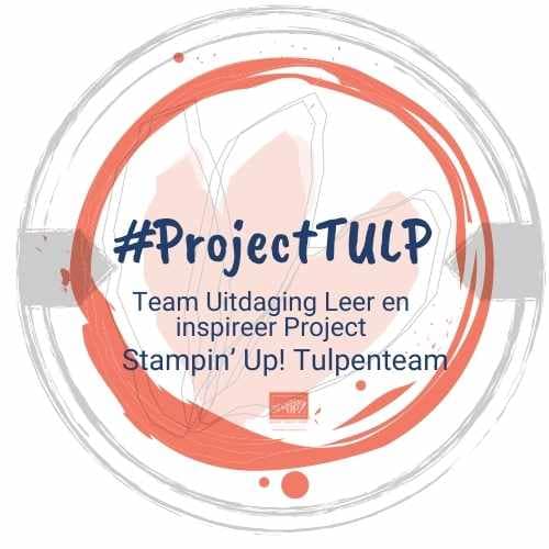 Blog 12 project tulp logo