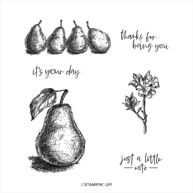Creatieve Zomer Boost, doen! 5 163526 penciled pear overzicht stempels