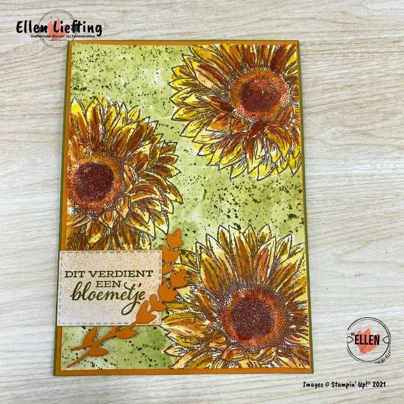 Favoriete stempelset Bijzondere zonnebloemen in de NL Demo bloghop van Stampin' Up! 9 bijzondere zonnebloemen met aquarel techniek van ellen liefting.
