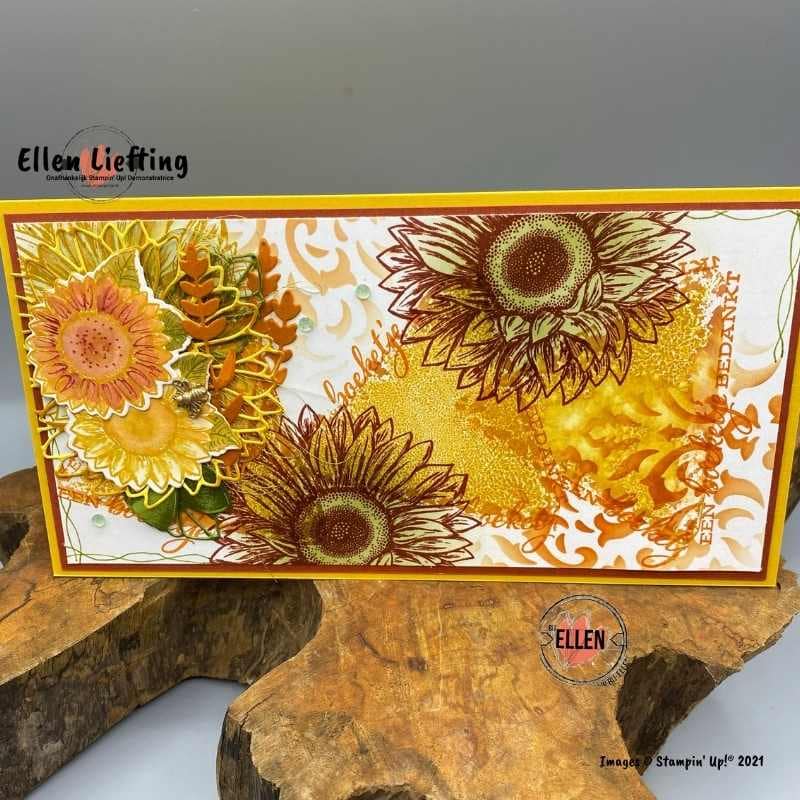 bijzondere zonnebloemen