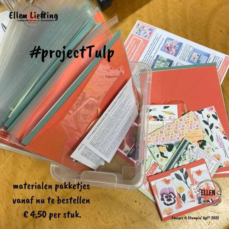#projectTULP voorjaar 2022( Team Uitdaging Leer en inspireer Project) 6 projectTulp materialenpakket q1 van ellen liefting