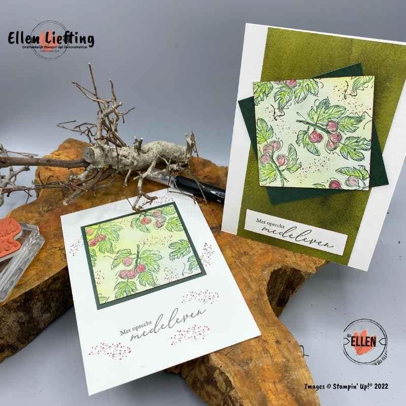 Ben jij toe aan een relax moment? 4 medeleven kaarten door ellen liefting met STampinup producten