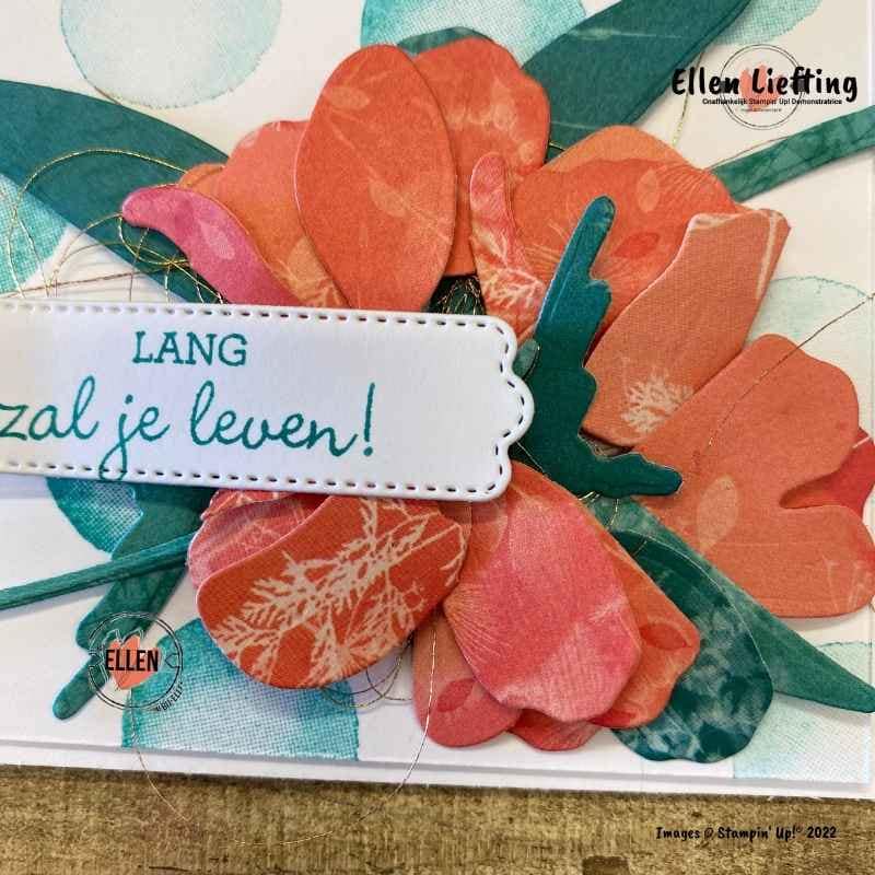 Een project casen in de stempelschatten bloghop 5