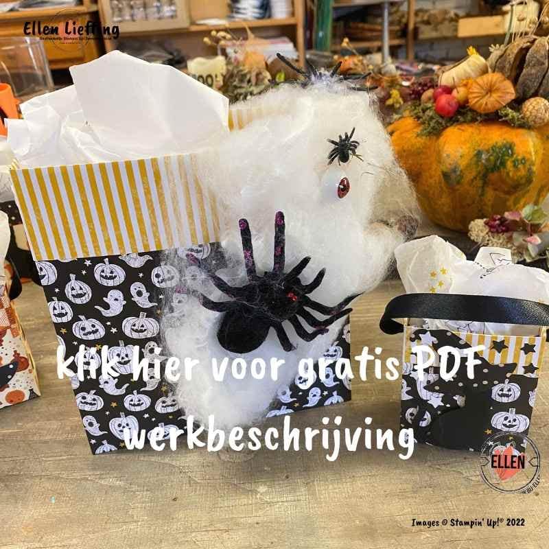 Je hoeft geen creatieve duizendpoot te zijn om deze leuke tasjes te maken 5 PDF tasje maken van Ellen Liefting StampinUp Demo