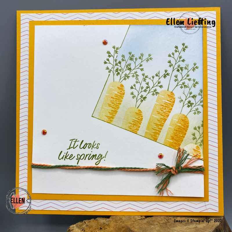 5 Tips om jouw stempel creativiteit te vergroten 1 it looks like spring met thanks a bunch door ellen liefting
