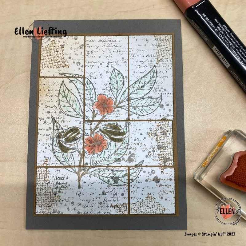 Een nieuw jaar, nieuwe catalogus en nieuwe plannen 4 stempelen op dsp met natures sweetnes su door ellen liefting