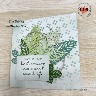 Workshop Pakketten voor najaar en andere tips 3 97DB6A6F EE02 42B5 BAE5 36C13B94CA51