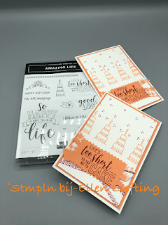 Kylie's Demonstrator Training Blog Hop December 2018, Amazing Life uitwerking van Ellen Liefting 3 2018 12 102B15.56.01