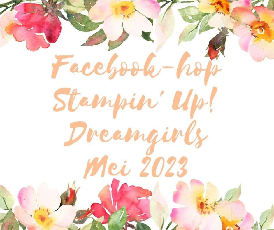 Wie heeft de tijd leren vliegen? 2 facebook hop Dreamgirls mei 2023
